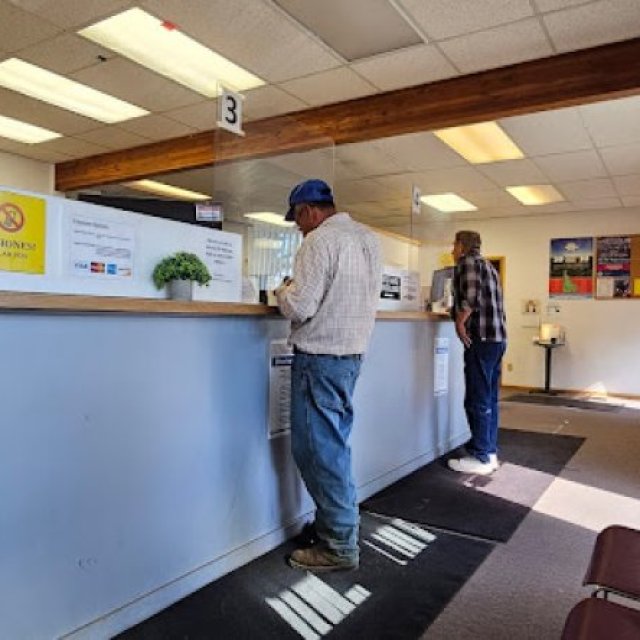 Owyhee County License Bureau